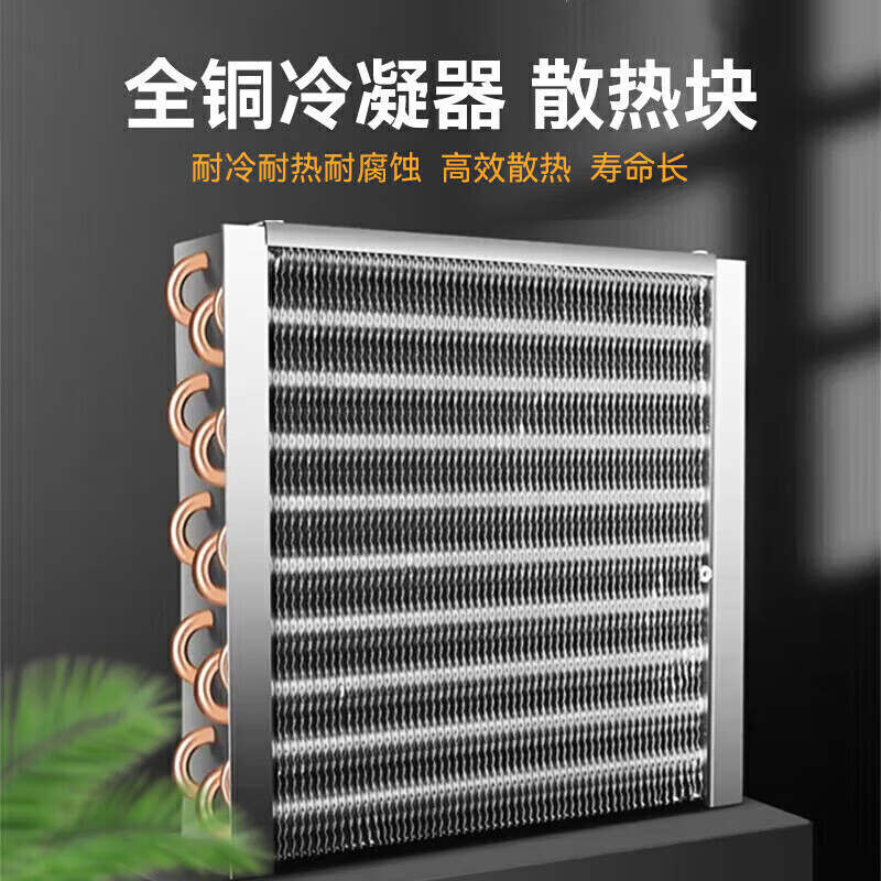 吕氏贵宾会旗舰A款220V五阀五泵可乐机商用500W